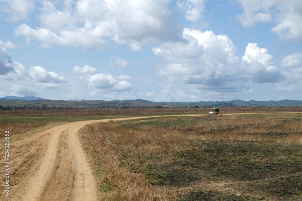 Obraz premium wonderful african nature Road trip by car