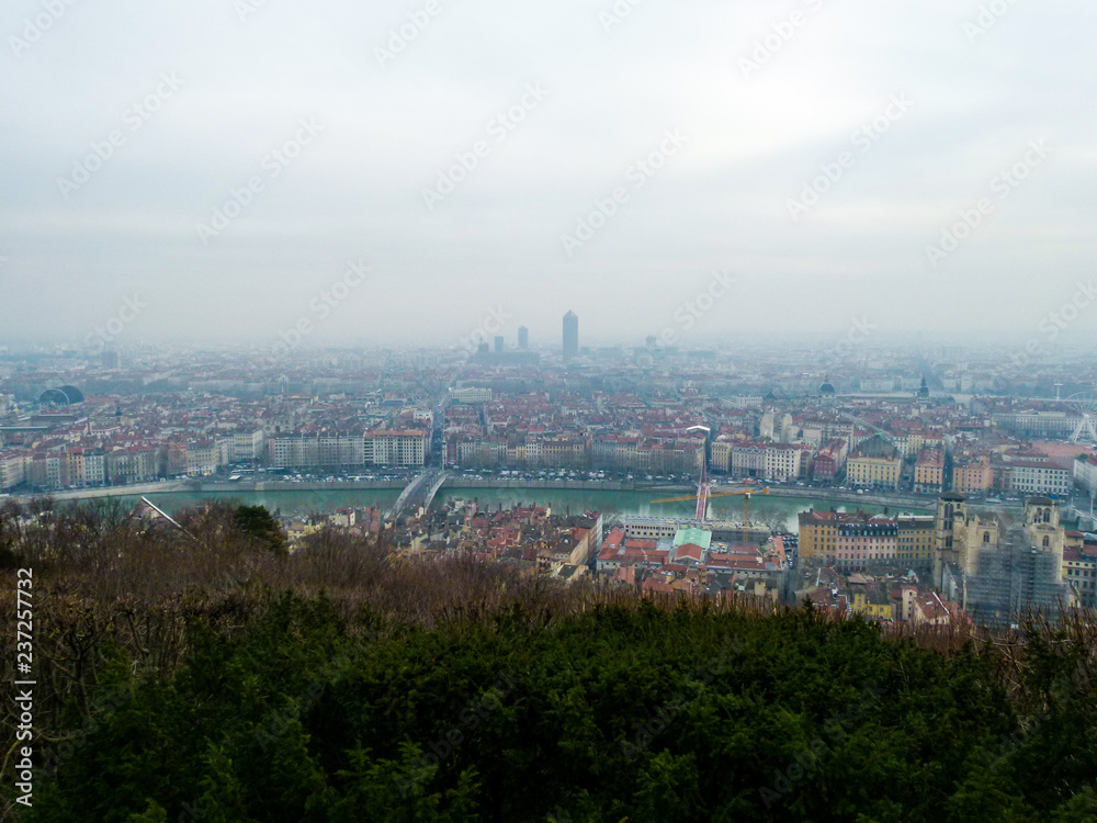 Cityscape, view of the winter overcast Lyon, France with vegetation in the foreground