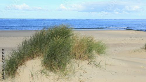 Dünen und Strand bei Renesse