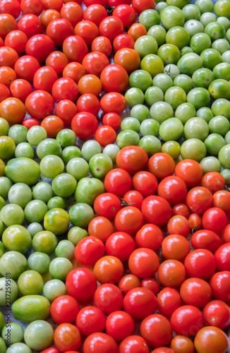 tomatoes cherry ripe and unripe stop go