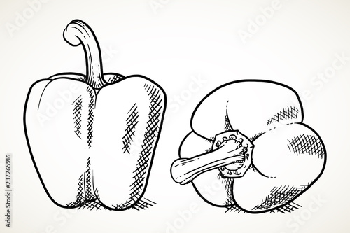 Sweet peppers vegetable illustration