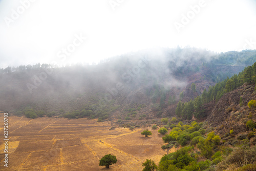 Foggy day in caldera de los marteles on Gran Canaria, Canary Islands photo