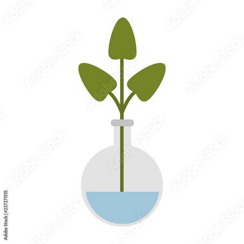 Chemistry flask with plant