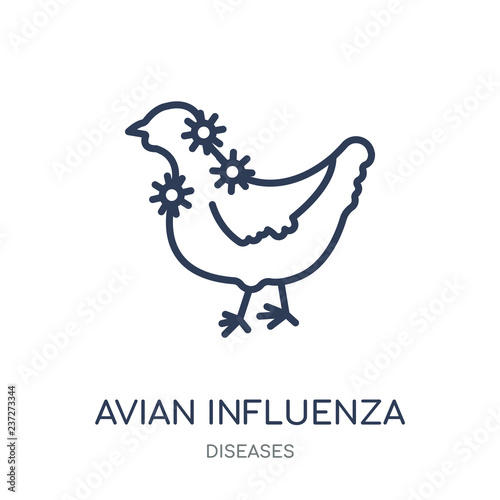 Avian Influenza icon. Avian Influenza linear symbol design from Diseases collection.