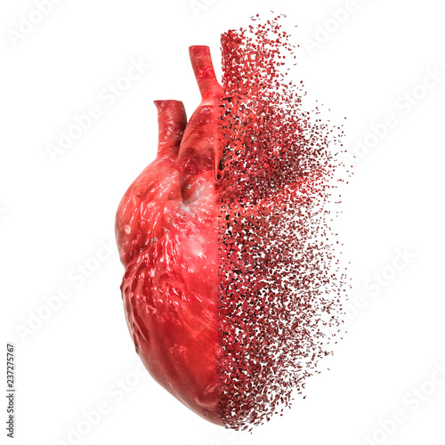 Heart disease concept. 3D rendering photo