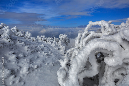 Snow sculptures, Ice Frost and Rime. Niubeishan Landscape, Cattle Back Mountain above the clouds, Sichuan Province China. Snow mountains, Frozen Winter Landscape, Frigid Cold Atmosphere, Frozen Trees photo