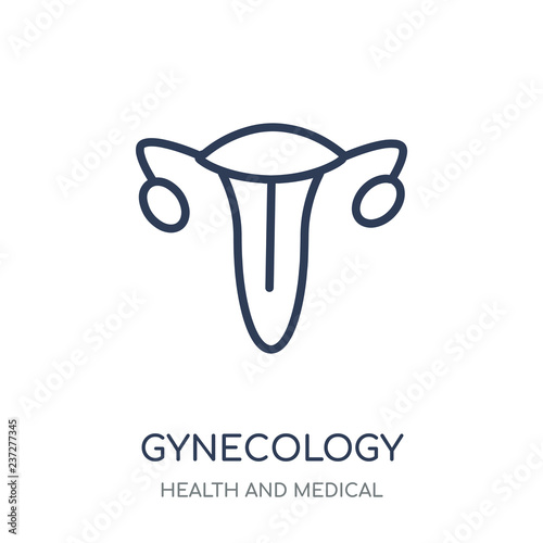 Gynecology icon. Gynecology linear symbol design from Health and Medical collection.