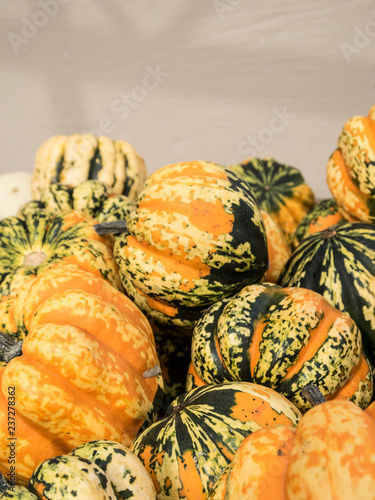 Carnival pumkins in a crate photo