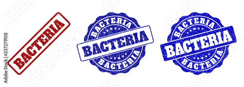 BACTERIA scratched stamp seals in red and blue colors. Vector BACTERIA labels with scratced effect. Graphic elements are rounded rectangles, rosettes, circles and text labels.