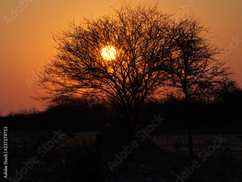 coucher de soleil sur l Okawengo