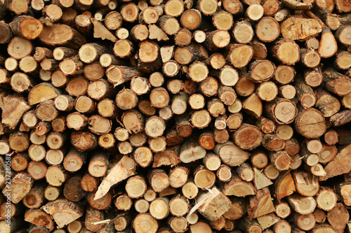 Wood pile reserve for the winter.