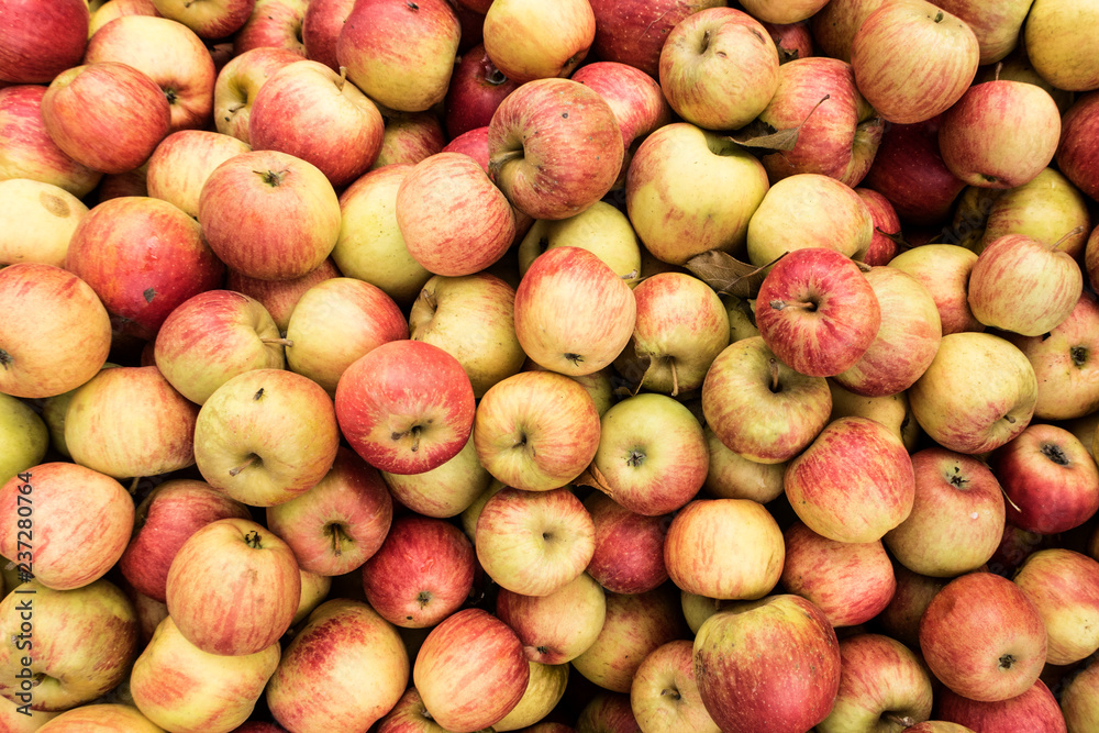 Harvested apples in a crate at a market
Harvested apples in a crate at a market