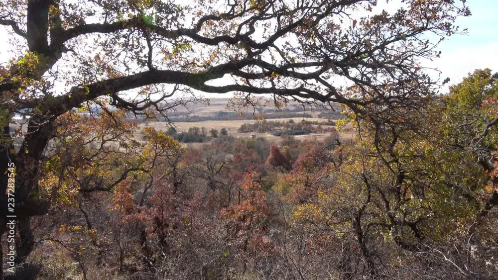 View of beautiful autumn colors of wild growing trees and brush. View from the Wichita Mountains. View of beautiful autumn colors of wild growing trees and brush. View from the Wichita Mountains.