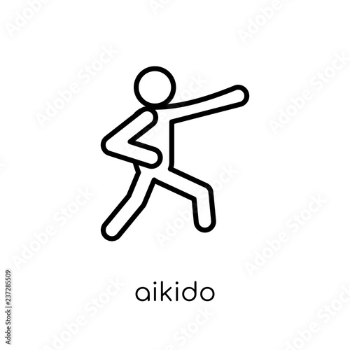 aikido icon. Trendy modern flat linear vector aikido icon on white background from thin line sport collection