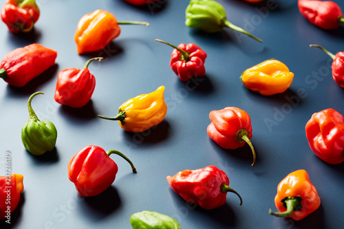 Small colorful peppers on black background. photo