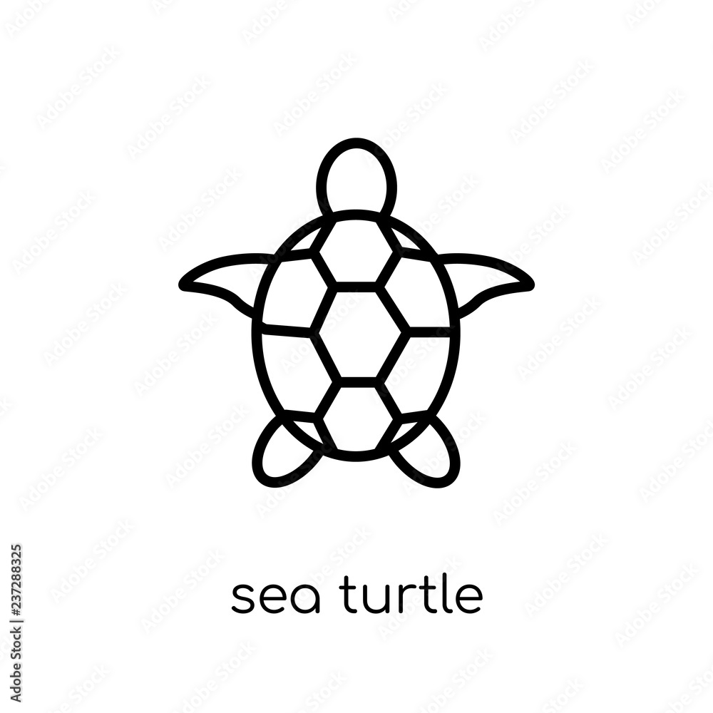 Obraz premium Sea turtle icon from Summer collection.