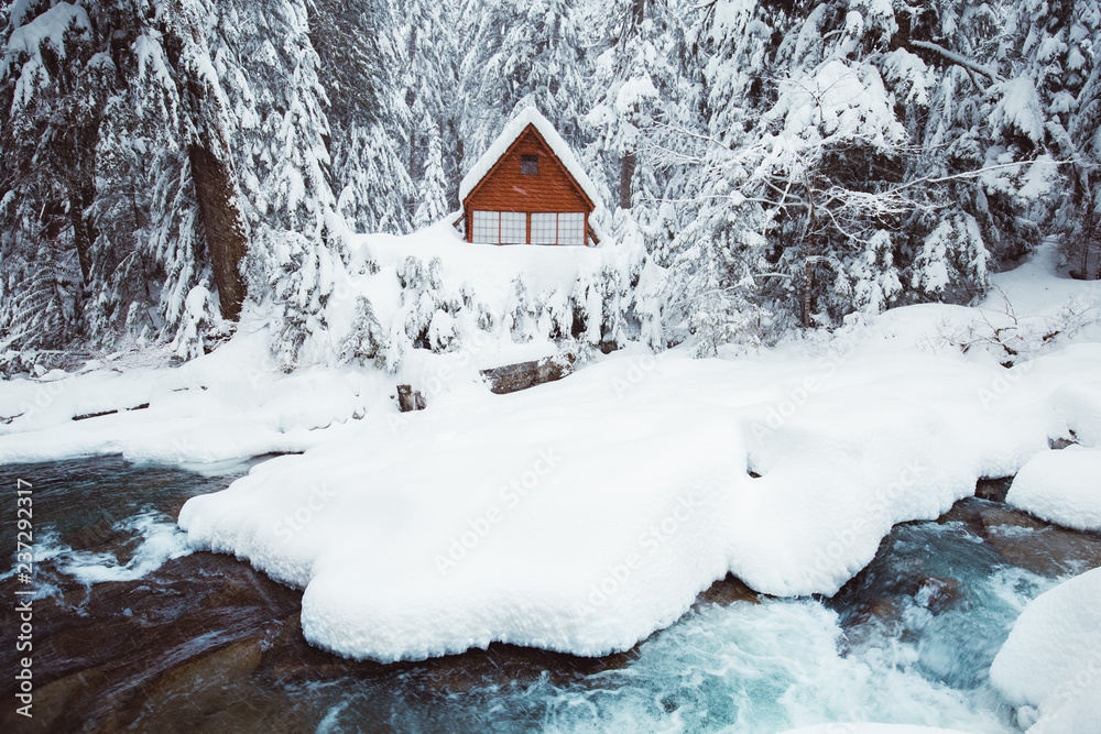 Cabin in Winter Woods