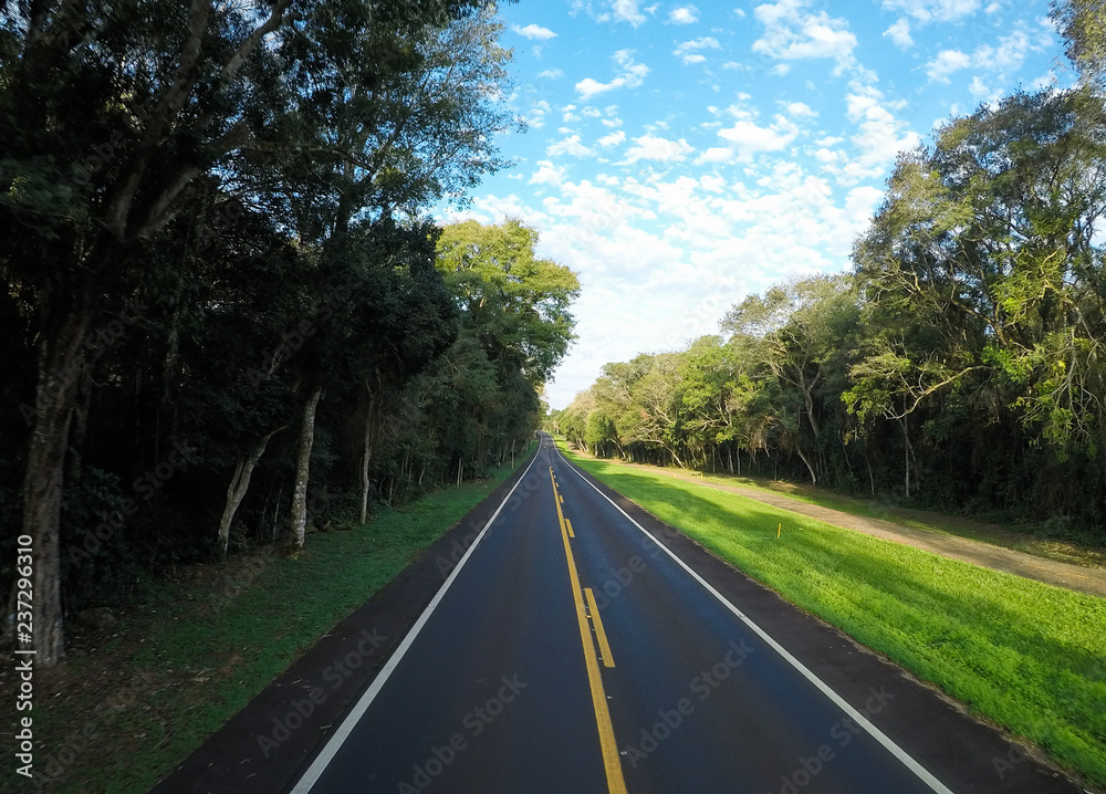 Obraz premium Road in the forest