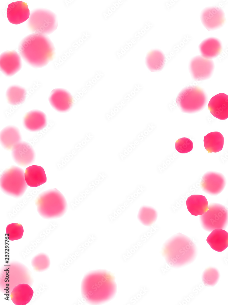 Pink rose petals falling vector valentine background.