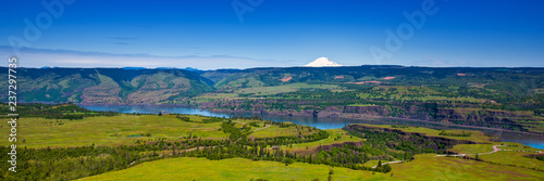 Mt. Adams looks down on the Columbia River Gorge
