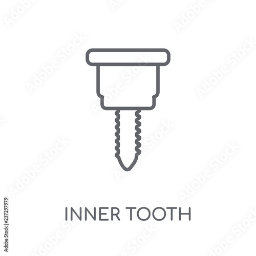 Inner Tooth linear icon. Modern outline Inner Tooth logo concept on white background from Dentist collection