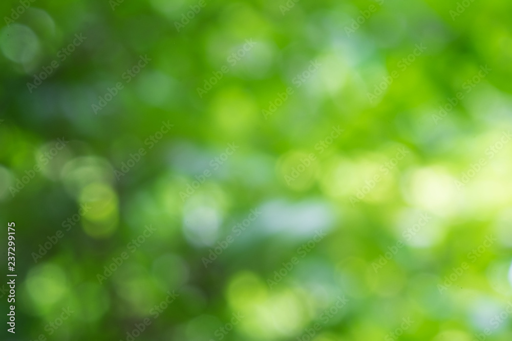 Blurred image of green bokeh