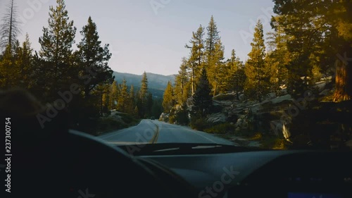Beautiful view from behind car steering wheel, driving down the mountain woods road in sunset Yosemite park slow motion.