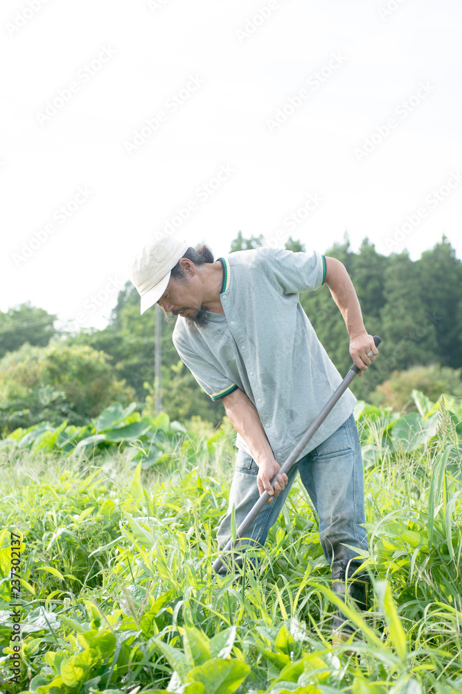 農業を営む人 農業を営む人