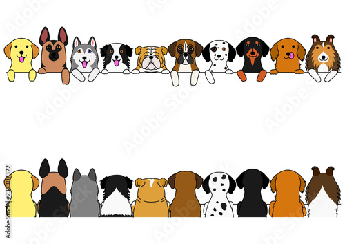 Photography dogs border set, large dogs, front side and back side