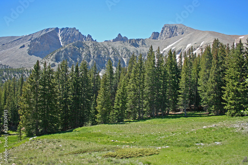 Meadow, forest and mountains - Nevada