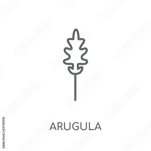 Arugula linear icon. Modern outline Arugula logo concept on white background from Fruits and vegetables collection