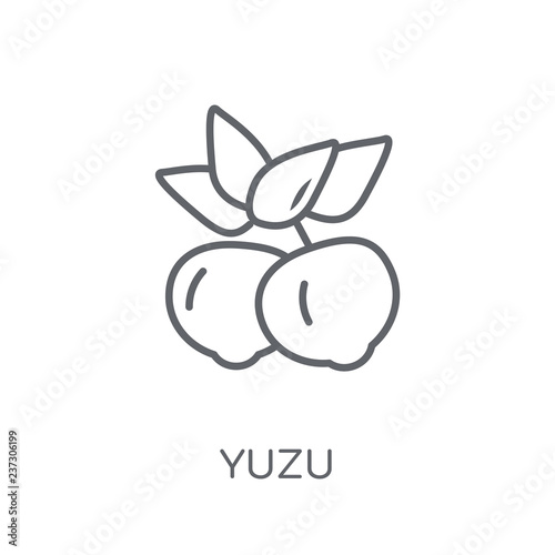 Yuzu linear icon. Modern outline Yuzu logo concept on white background from Fruits and vegetables collection photo