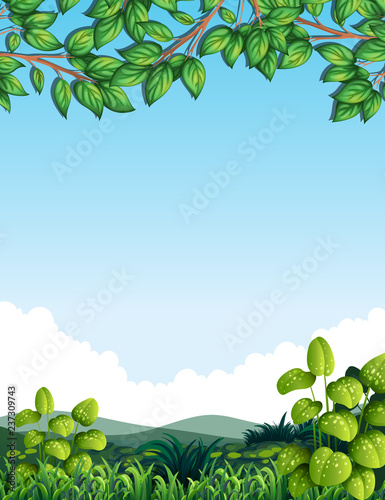 Nature with tree leaves