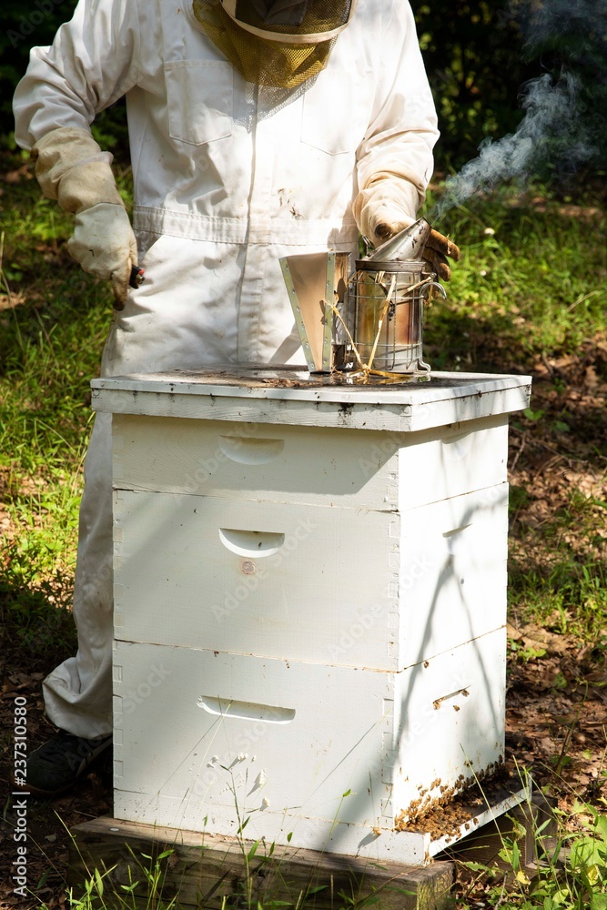 Beekeeper with smoker Beekeeper with smoker