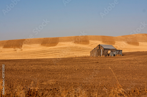 Abandoned Building in a wheat field, eastern Washington