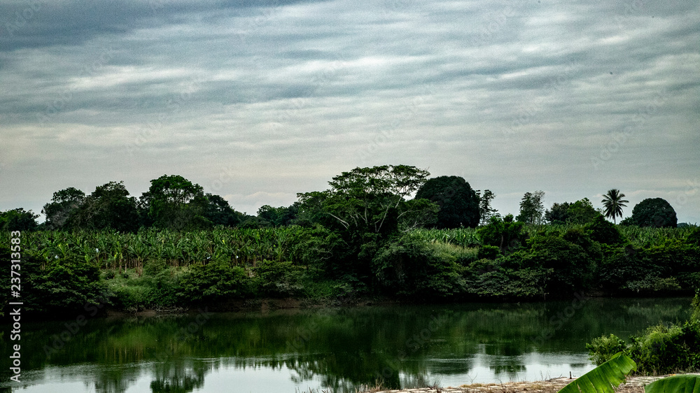 Mexican nature is not only the sky, the road, trees, lakes and rivers. First of all, these are great colors.