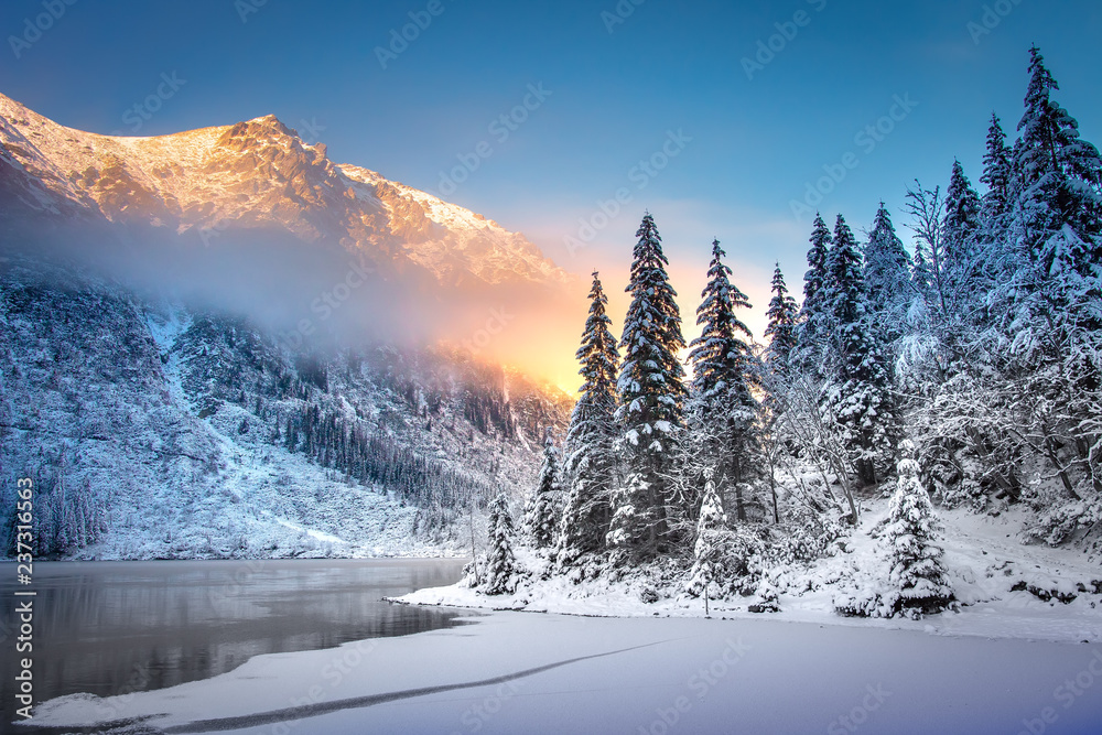 Winter Mountain landscape