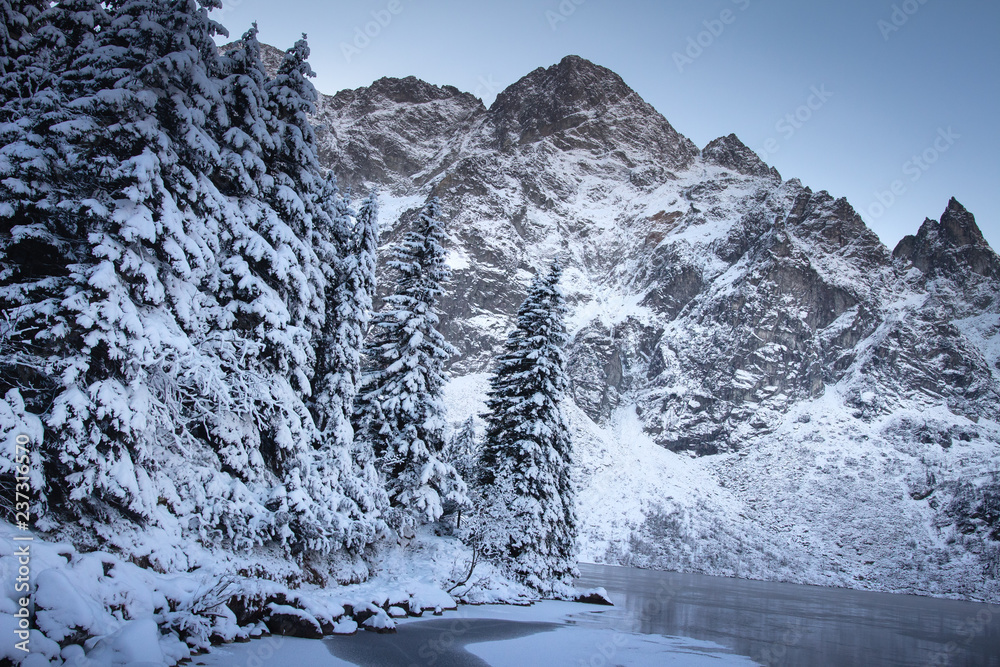 Winter mountains landscape. Snowy fir trees and rocky mountain.
