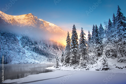 Fototapeta Naklejka Na Ścianę i Meble -  Winter Mountain landscape