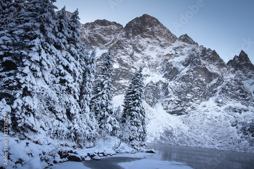 Fototapeta Naklejka Na Ścianę i Meble -  Winter mountains landscape. Snowy fir trees and rocky mountain.