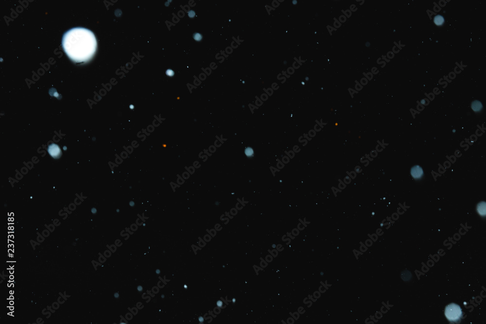Flakes of snow falling on a black background. Isolated Flakes of snow falling on a black background. Isolated