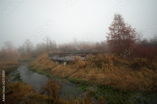 Foggy Morning River