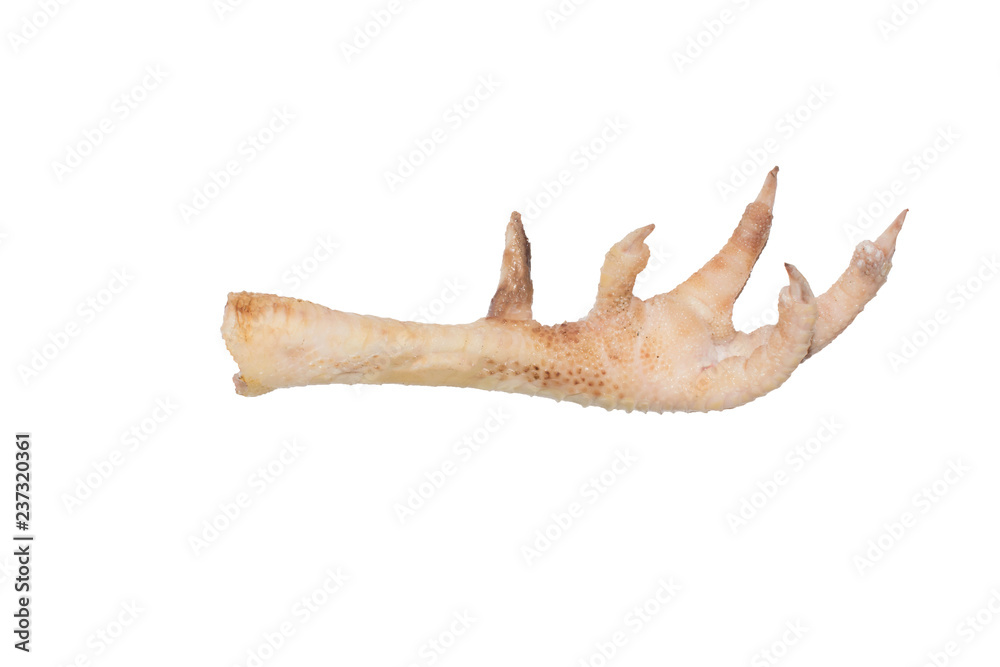 Chicken foot large isolated on white background for design