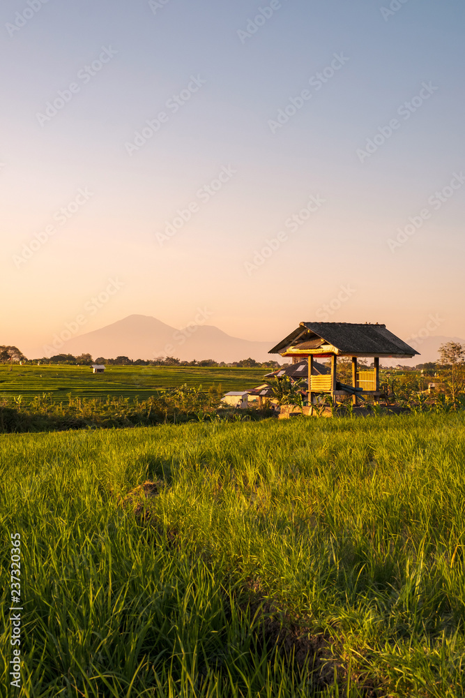 Enchanting Bali Sunset Over Sun-Drenched Rice Fields