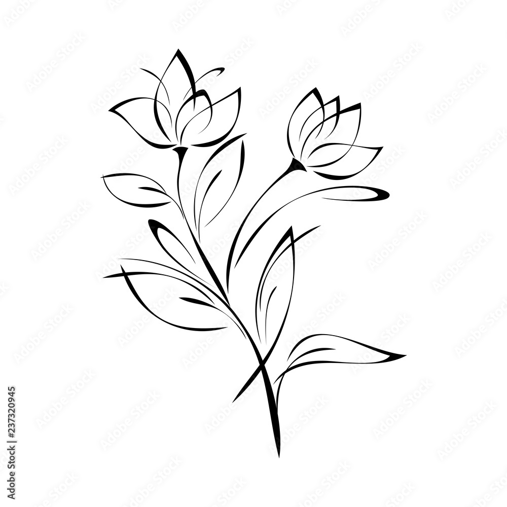 sprig with flower buds on the stem with leaves in black lines on a white background sprig with flower buds on the stem with leaves in black lines on a white background