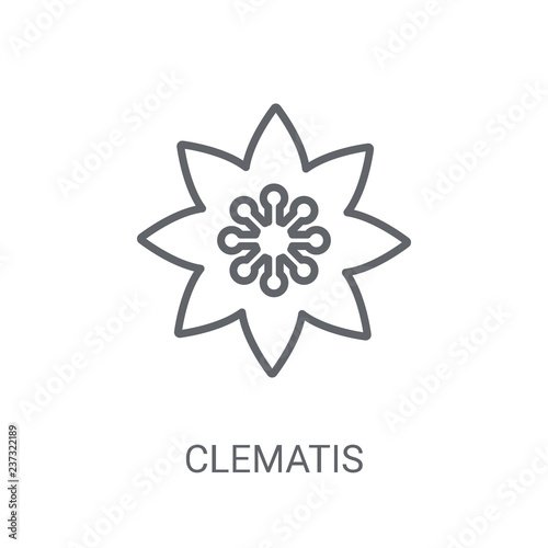 Clematis icon. Trendy Clematis logo concept on white background from Nature collection photo