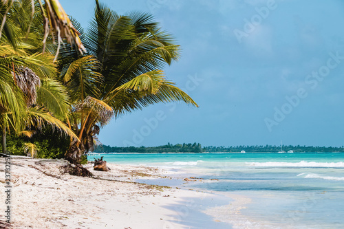 Saona Island near Punta Cana  Dominican Republic