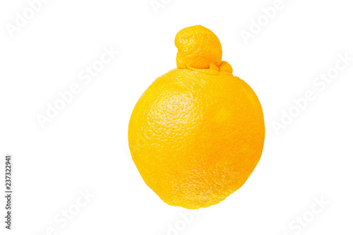 Cuadro en lienzo Single ugly orange