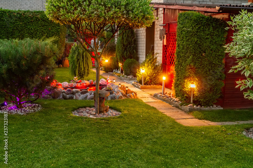 Garden illuminated by color lamps