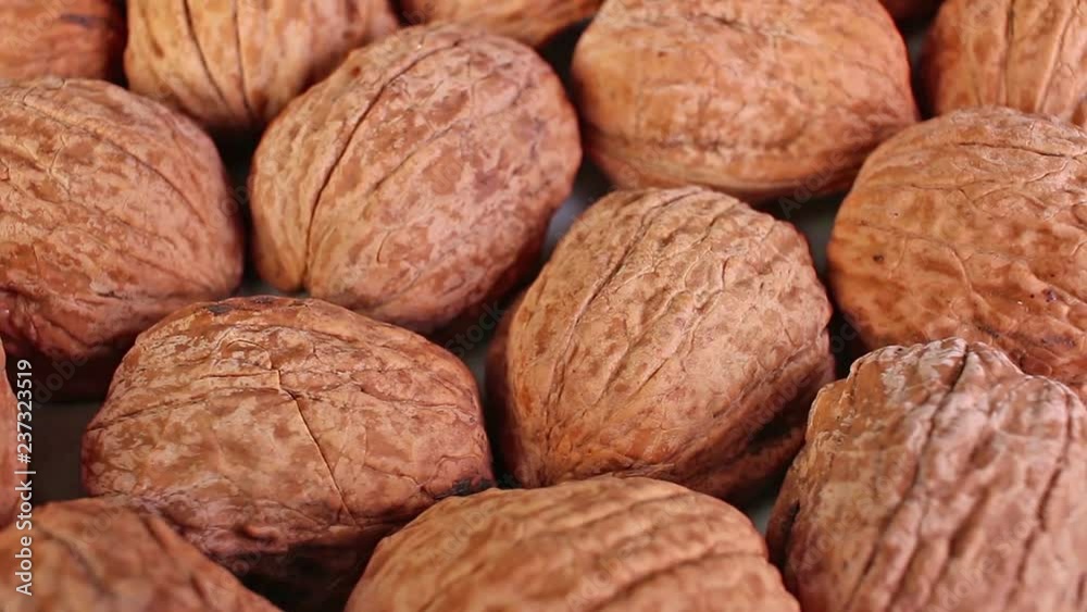 Walnut texture. Brown big whole walnuts as background. walnut nuts pattern close up photo. Walnut texture. Brown big whole walnuts as background. walnut nuts pattern close up photo.